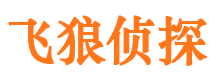 邢台飞狼私家侦探公司